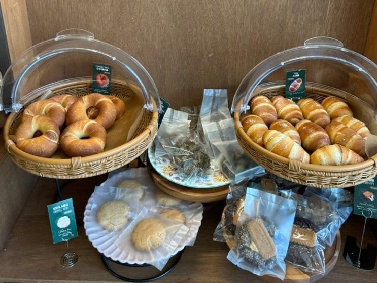 인천 송도 비건 베이커리 실내 애견동반 카페 지구본 송도