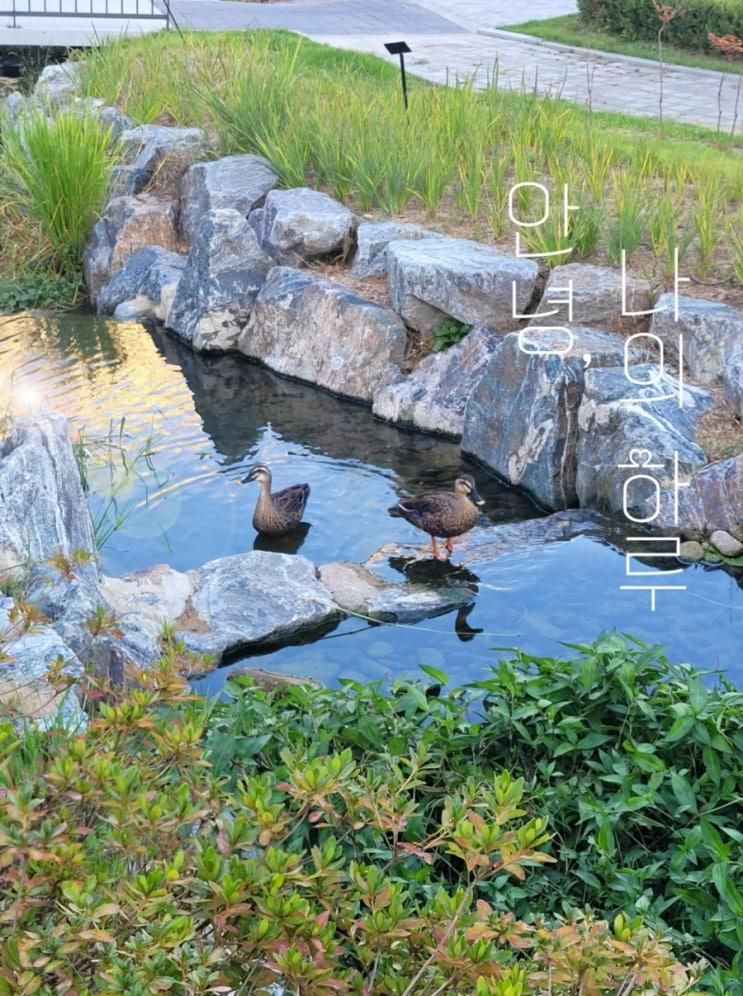 용인 자연 속 힐링 산책 서천생태공원 서천레스피아