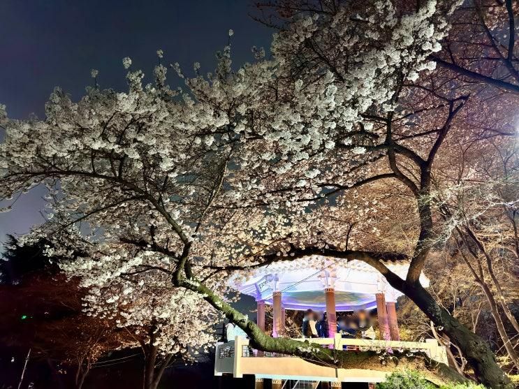 벚꽃보다 더 강렬했다, 수봉공원 스카이워크