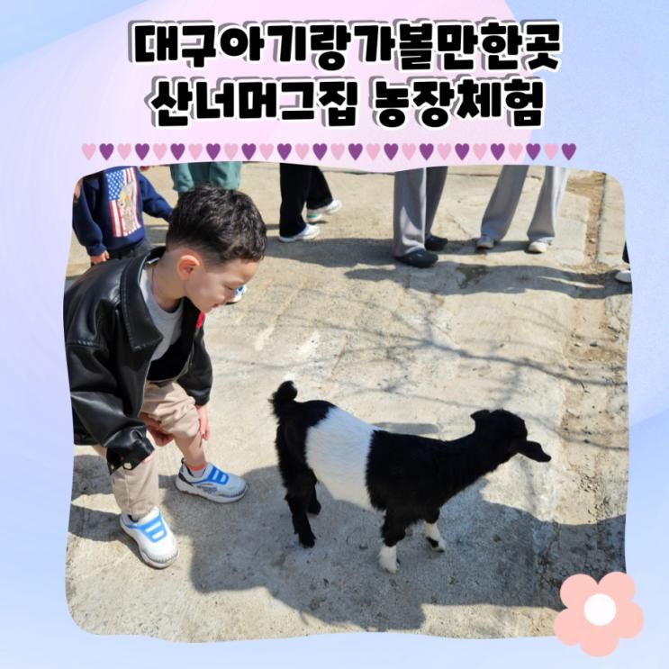대구아이랑가볼만한곳 농장체험 산너머그집