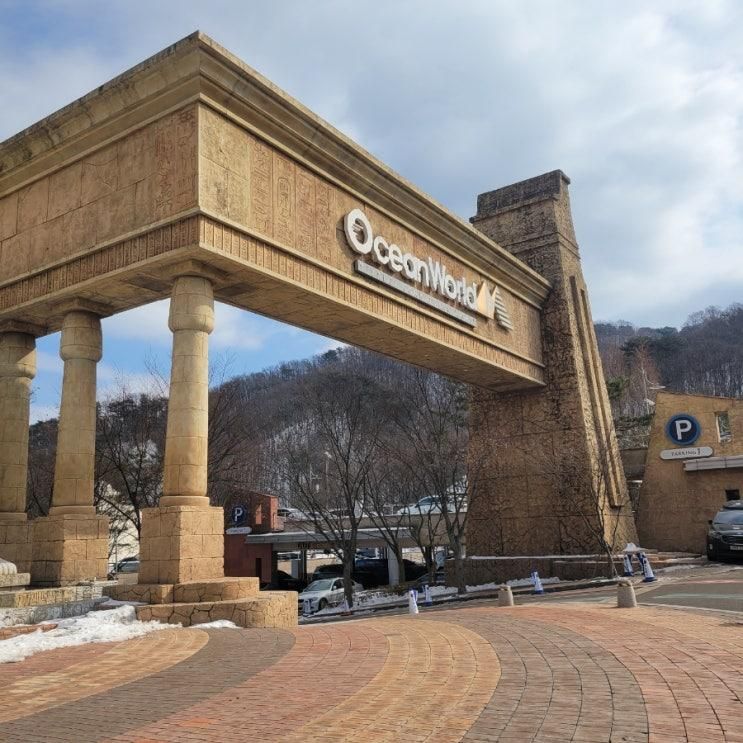 아이와 홍천여행 오션월드 비발디파크 조식 셰프스 키친 배떡... 