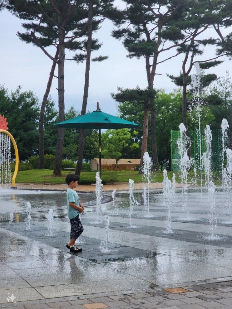 여름피서 멀리갈필요없어요 안성퇴미공원 바닥분수