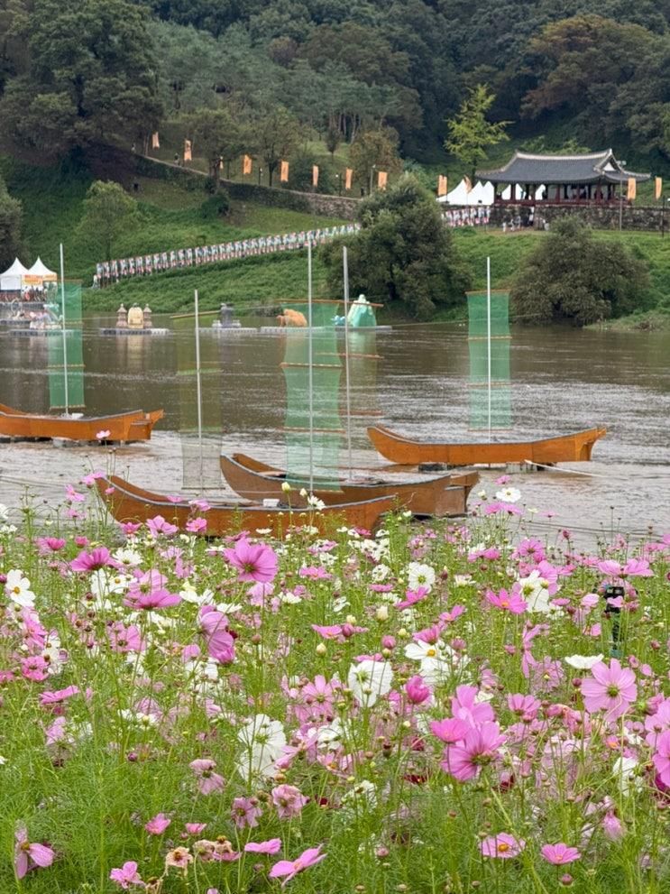 공주 백제문화제 주차 가볼만한곳 / 미르섬 할인 / 공주 밤파이... 