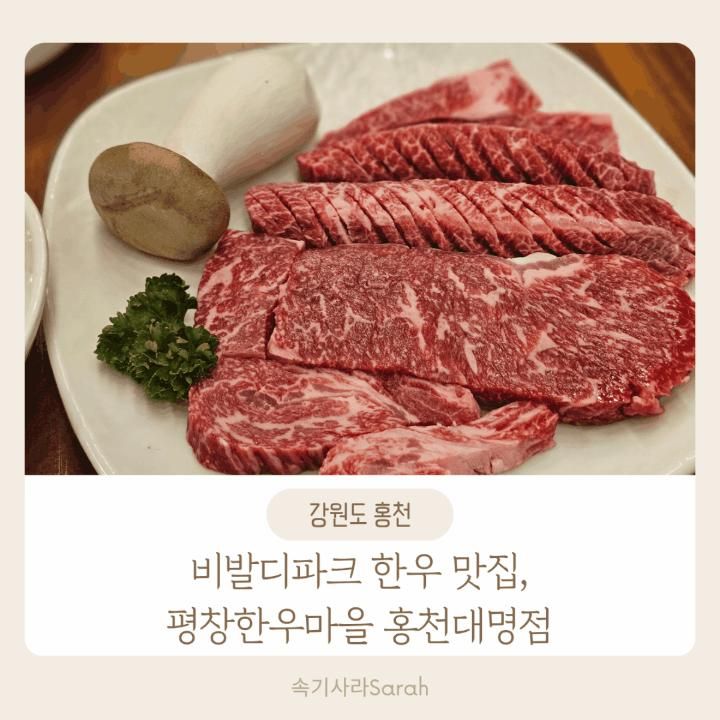 비발디파크 맛집 평창한우마을 홍천대명점 픽업 셔틀