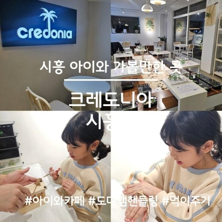 아이와 카페, 도마뱀 핸들링 먹이주기 체험, 크레도니아 시흥점