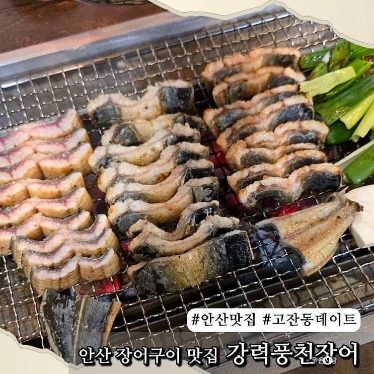 안산 장어구이 맛집 강력풍천장어 고잔점