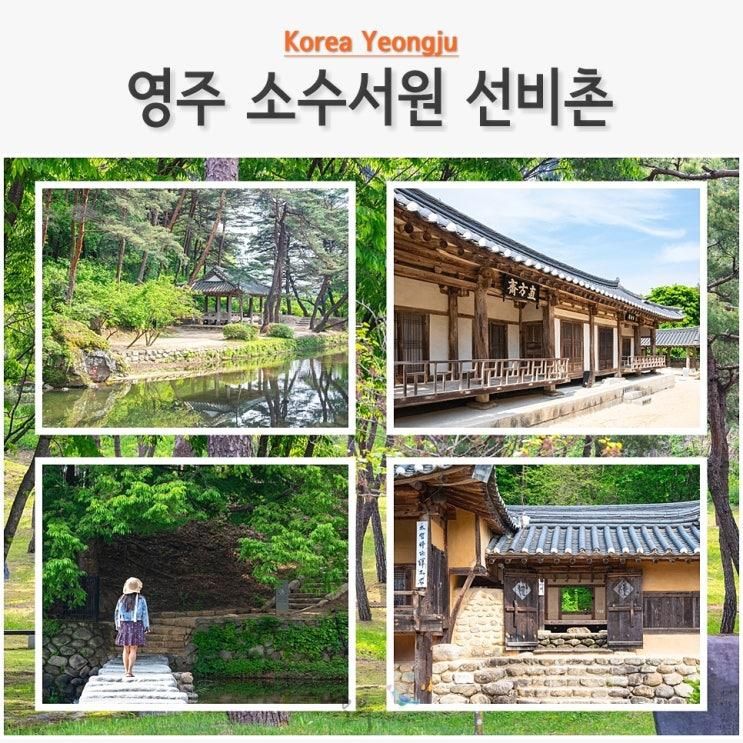 경북 영주 여행 소수서원 입장료 선비촌 소수박물관