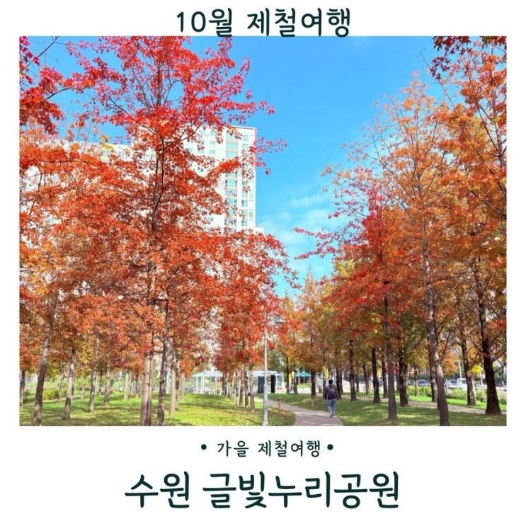 수원 가볼만한 곳 글빛누리공원 글빛도서관 가을산책