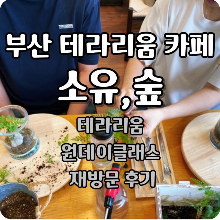 자격증까지! 소유숲 테라리움 클래스 (구포 원데이클래스)