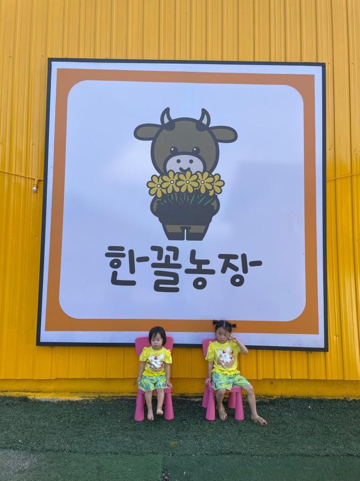 전남 목포 아이랑 가볼만한곳 한꼴농장 동물먹이주기