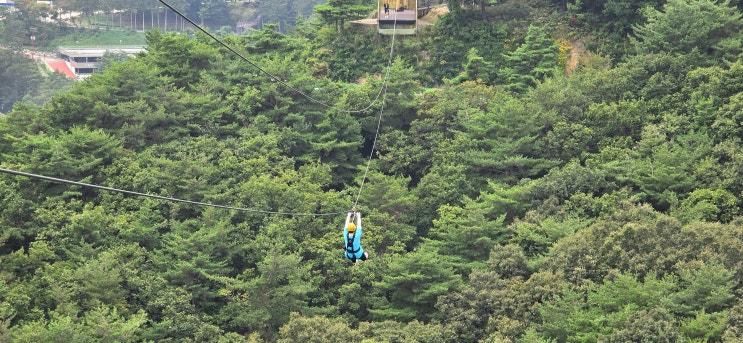 보은 여행 :  속리산 e 레포츠 집라인 타고 하늘을 나는 기분... 