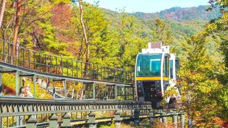 가을 속리산의 새로운 발견- 보은 속리산e레포츠, 편안함과... 