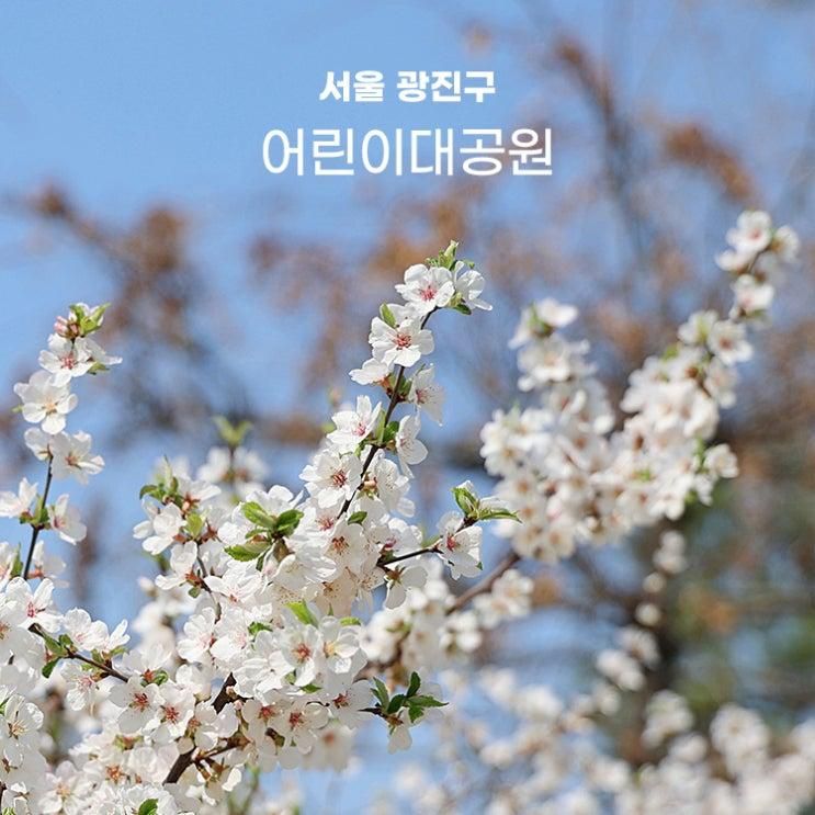 서울 벚꽃 명소 어린이대공원 동물원 꿈틀꿈틀 정원놀이터... 