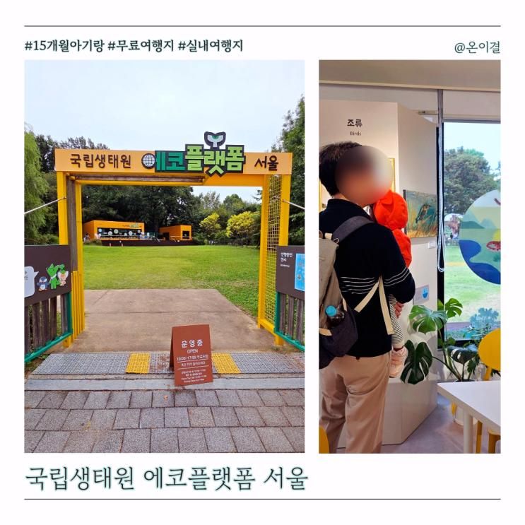 무료 실내여행지 어린이대공원 국립생태원 에코플랫폼 서울