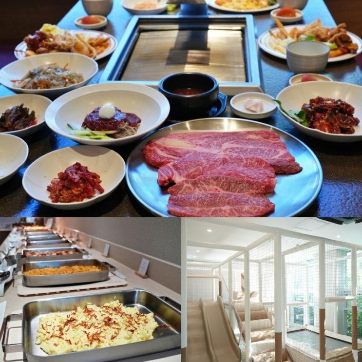 제주도 소고기 원탑 광육 제주 가성비 맛집 놀이방 식당