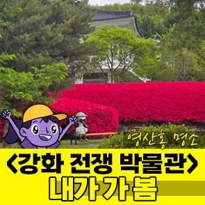 강화 전쟁 박물관 영산홍 명소 (20260428)