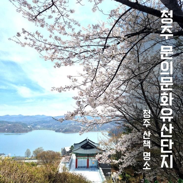 청주 문의문화유산단지 주말 방문 후기 대청호 보며 봄꽃... 