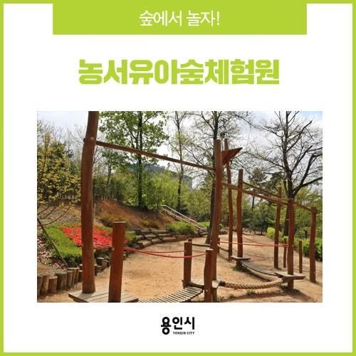 [용인 여행] 얘들아 숲에서 놀자, 농서 유아숲 체험원