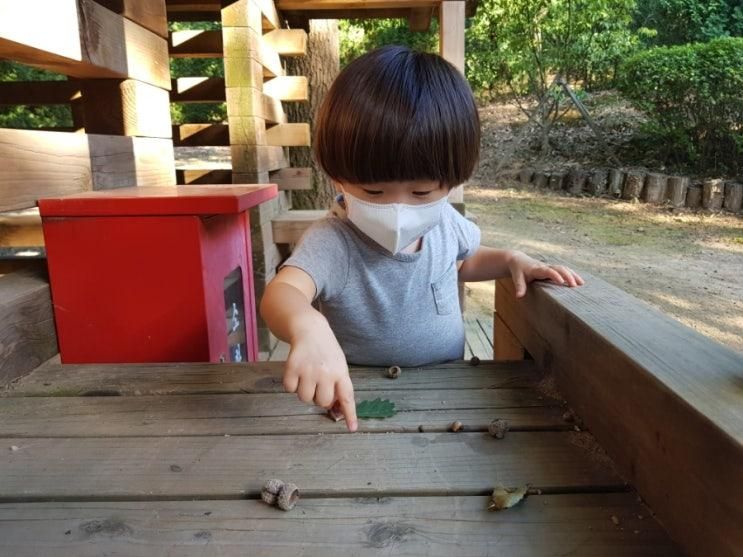 농서유아숲체험원