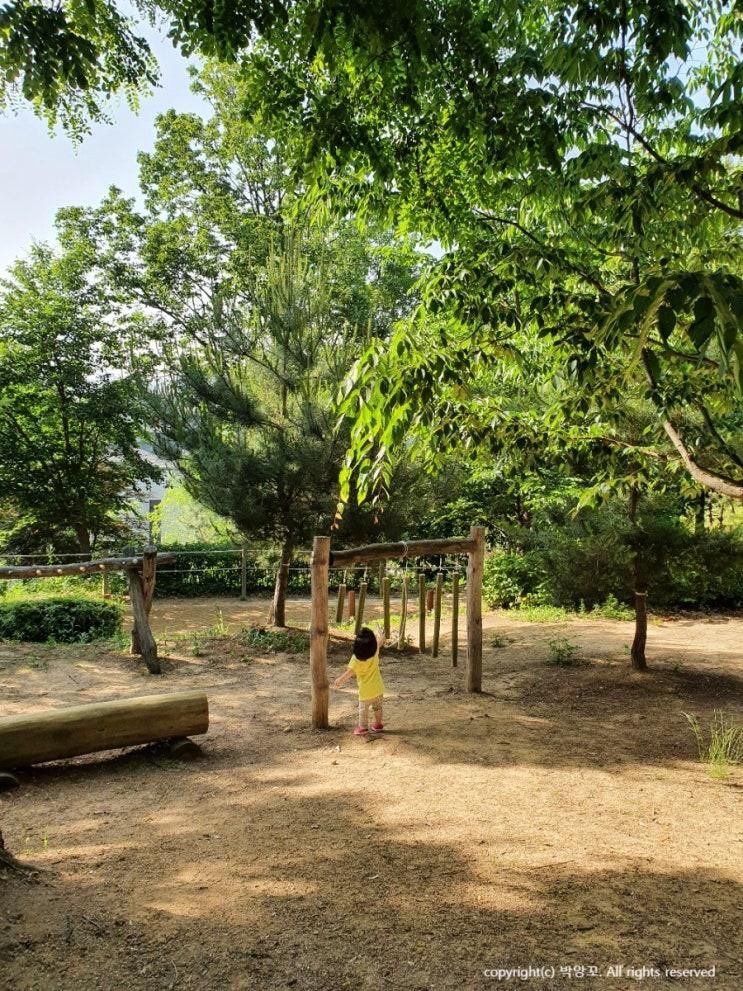 용인 서천 아이와 가볼만한 곳 농서유아숲체험원