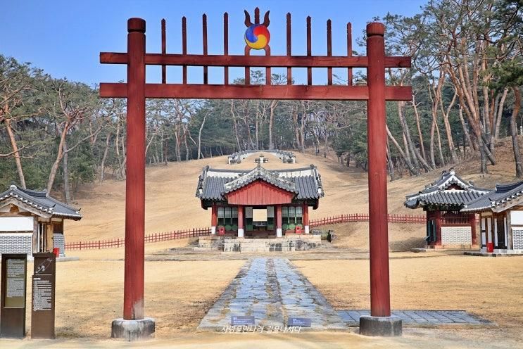 남양주 사릉, 단종을 향한 정순왕후의 그리움 (feat. 왕과... 