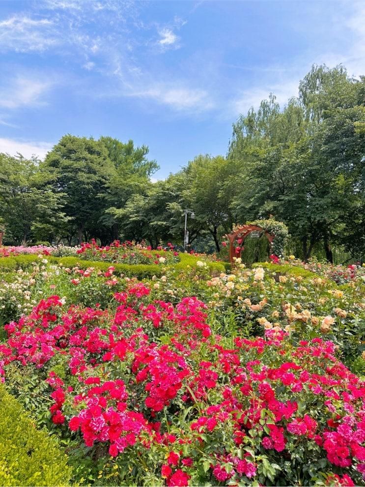 서울근교 구리 가볼만한곳, 아이랑 산책하기 좋은 장자호수공원... 