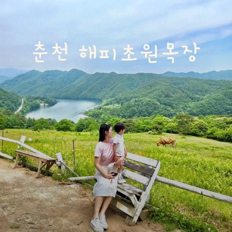 [춘천] 해피초원목장 아기랑 다녀온 후기｜입장료·주차... 