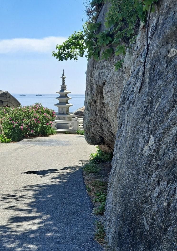강원도 양양 죽도해변, 인구해수욕장, 죽도해수욕장... 