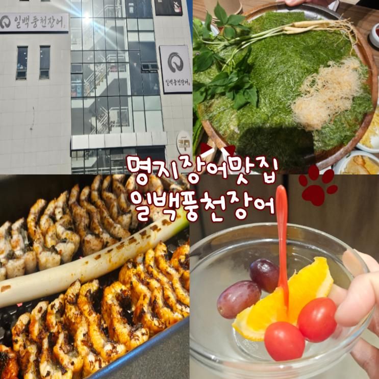 부산명지 맛집 추천 일백풍천장어 가족모임으로 추천 네이버 예약 필수 내돈내산 후기