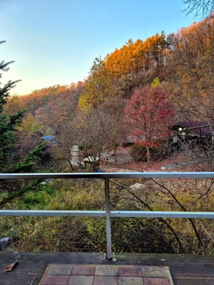 춘천숲자연휴양림 캠핑장 별빛캠핑장 데크자리