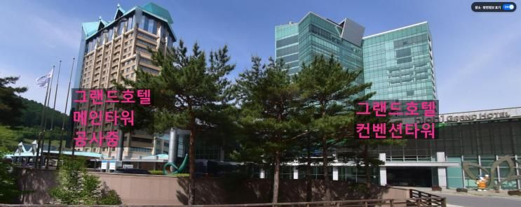하이원 그랜드호텔 컨벤션 타워 슈페리어 베스트슬립 트윈 후기(내....