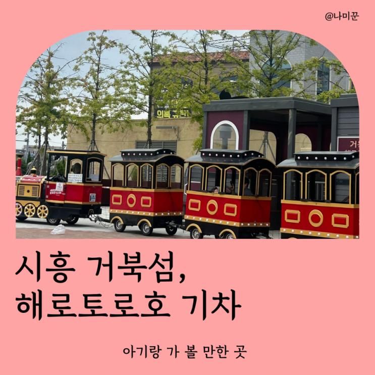 시흥# 거북섬 아기랑 갈 만한 곳 해로토로호 미니기차, 별빛공원