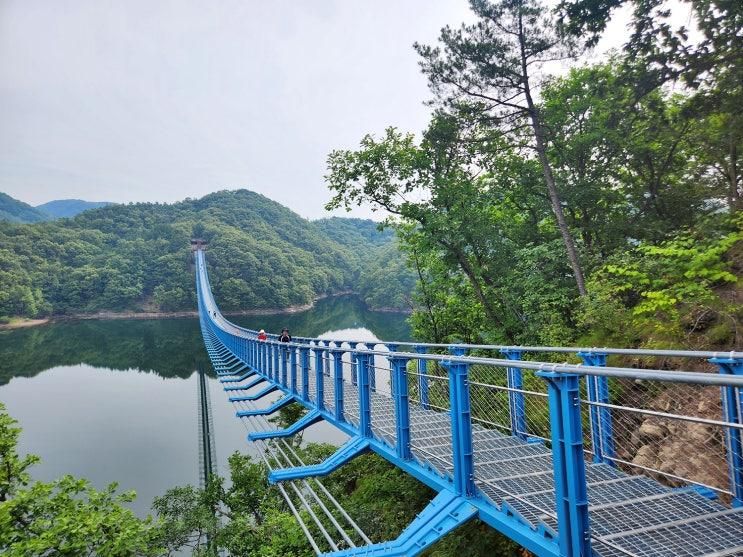 진천여행 _ 진천 가볼만한곳 초평호 미르309 출렁다리