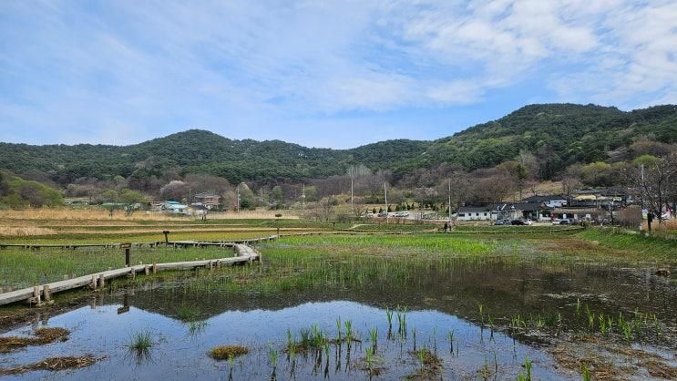 상당산성 자연마당과 진천 농다리 & 초평호 미르309 출렁다리