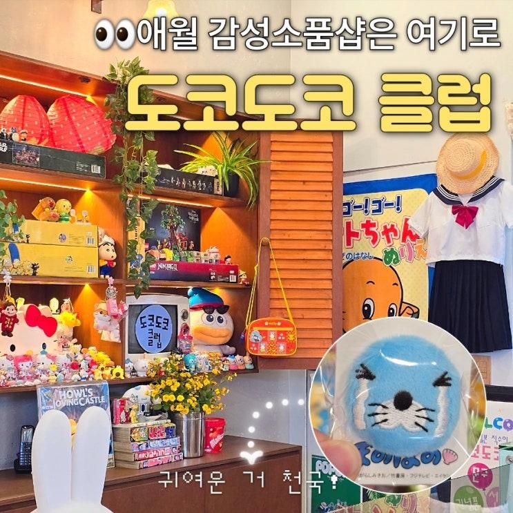 애월 소품샵 도코도코클럽 일본 감성 제주 소품샵으로 추천