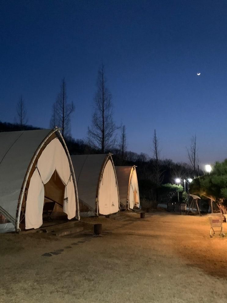 세종 글램핑 다온숲 애견 동반 가능한 애견글램핑