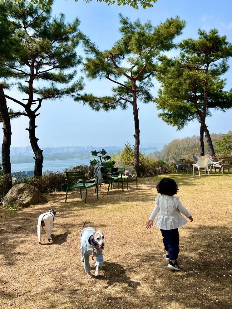 남양주 카페스토리 강아지랑 아기랑 가기 좋은 애개육아 카페... 