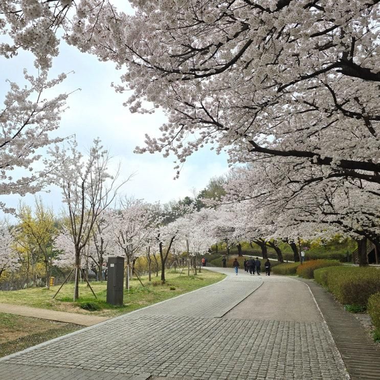 북서울꿈의숲 주말 나들이 (ft. 오전 동문 주차장, 라포레스타... 
