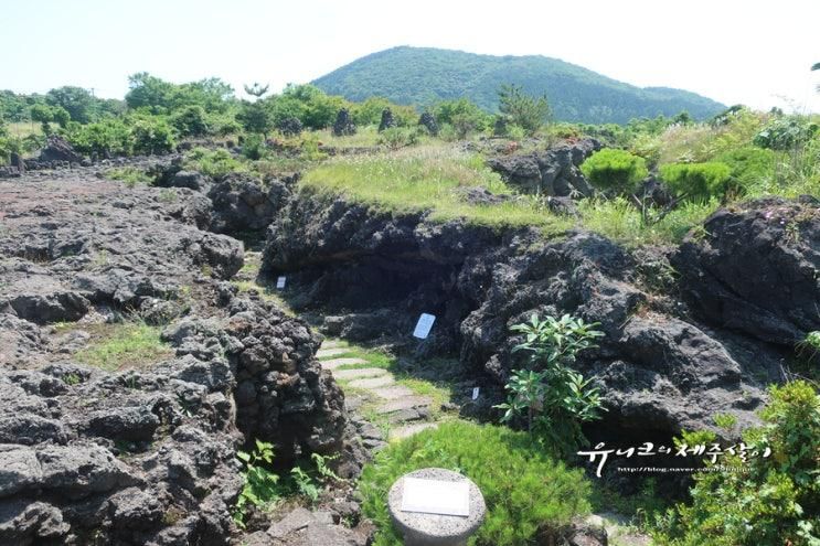 제주 동쪽 아이와 가볼만한곳 제주도 볼거리 많은 파파빌레... 