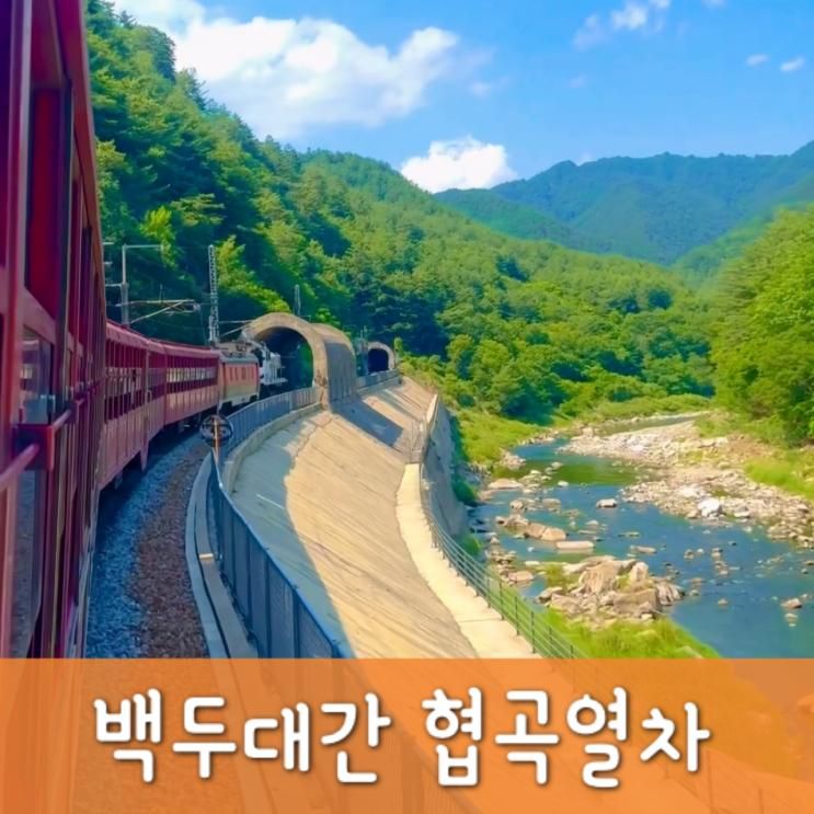 백두대간 협곡열차 완벽 가이드 V-Train