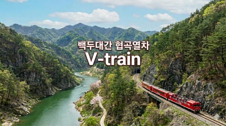 30km의 느린 미학, 백두대간 협곡열차(V-train) 감성 가이드