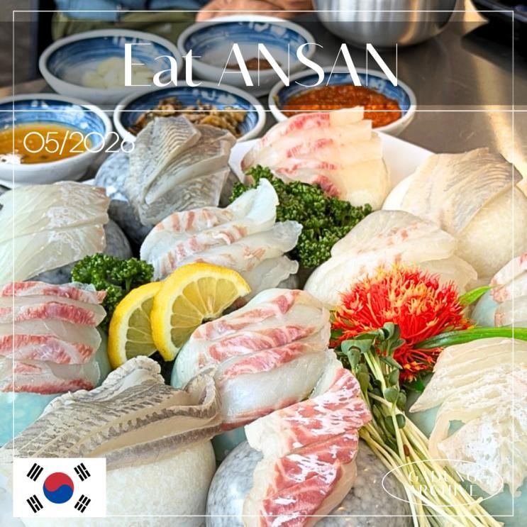 [안산 반달섬 맛집 횟집] 어촌계1번지 참돔모둠 후기