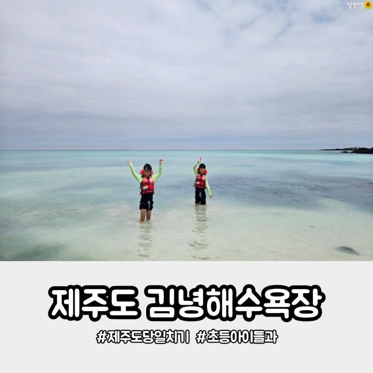 초등아이들과 제주도 당일치기여행 버스로 다녀온 김녕해수욕... 