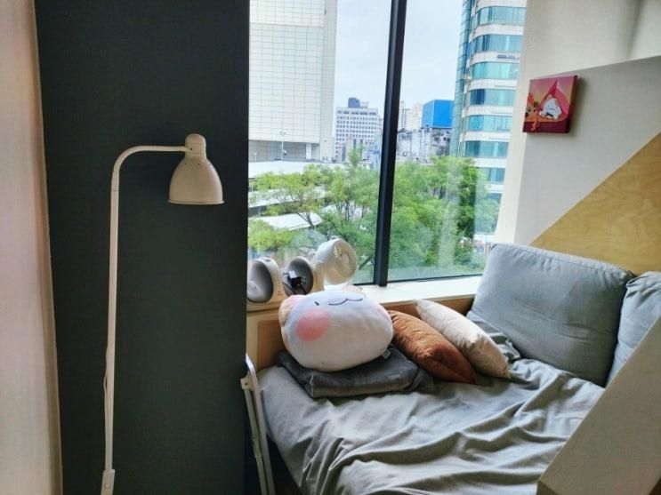 [서대문, 신촌] 신촌만화카페 놀숲 프리미엄 신촌점(요금,메뉴... 