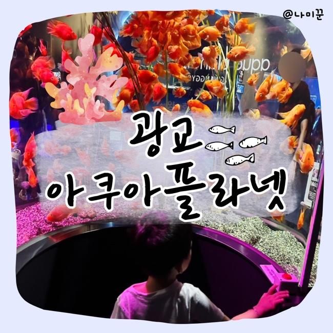 광교 아쿠아플라넷 할인 총정리, 최저가 예매·주차·관람 꿀팁