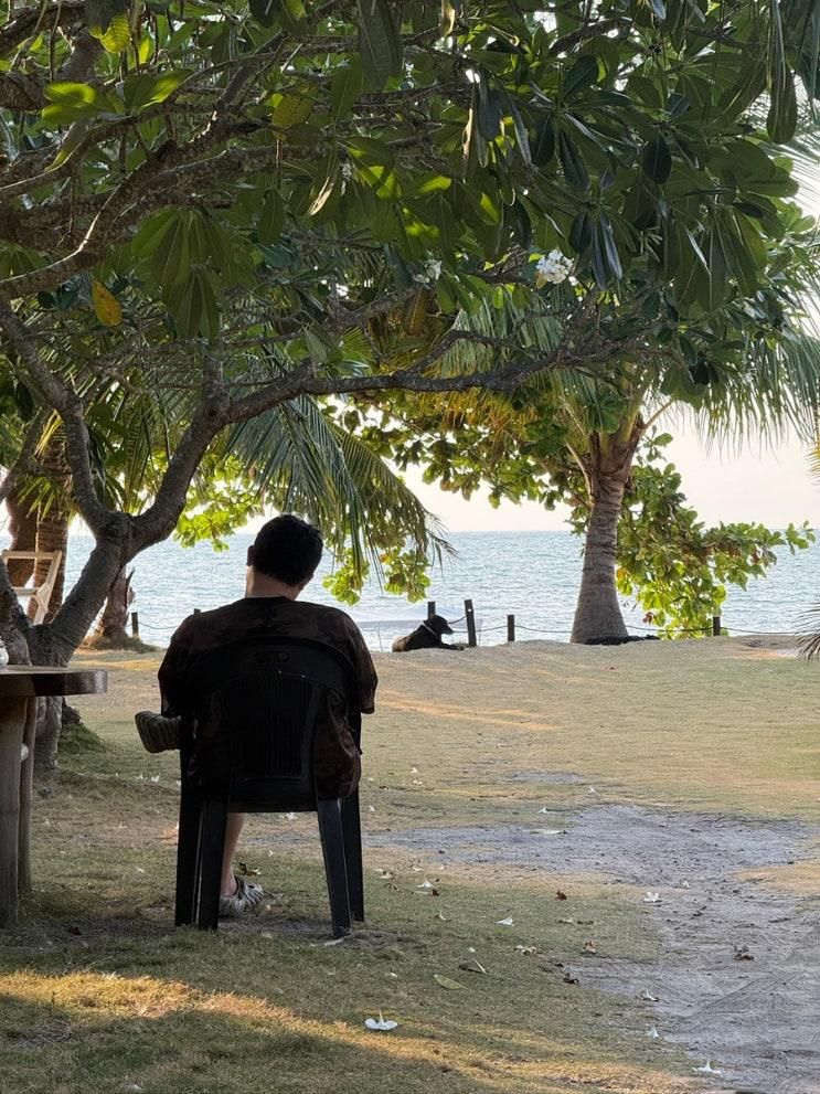 말라파스쿠아 다이빙 - 세부에서 말라파스쿠아 파라다이브로... 
