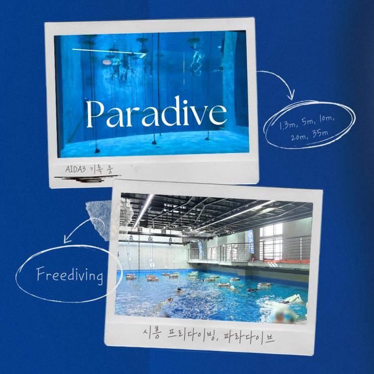 시흥 파라다이브 프리다이빙 방문 전 꼭 알아야하는 5가지