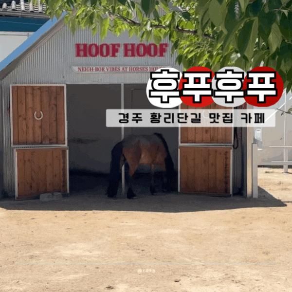 경주 황리단길 브런치 카페 후프후프 경주여행중 맛집 추천
