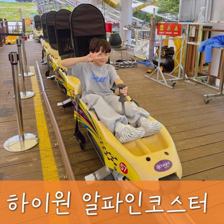 하이원 알파인코스터 꼭 알고 가야 하는 주차장