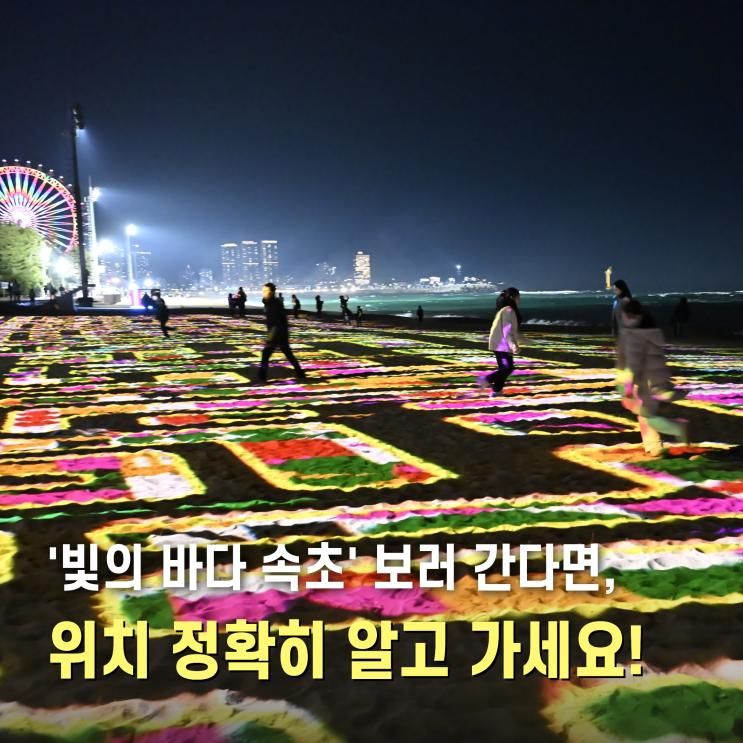 속초 아이와 가볼만한곳 속초해변 볼거리 빛의바다 미디어아트... 